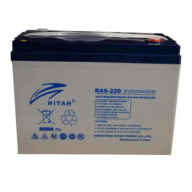 EV6-220 - Ritar Battery | Supercharge Batteries