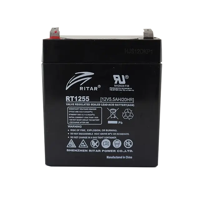 RT1255F1 Battery - Long-lasting Power Solution | Company Name