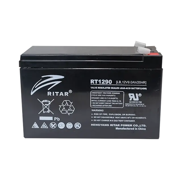 RT1290F2 (RT1290) | Supercharge Batteries | High-Quality Battery