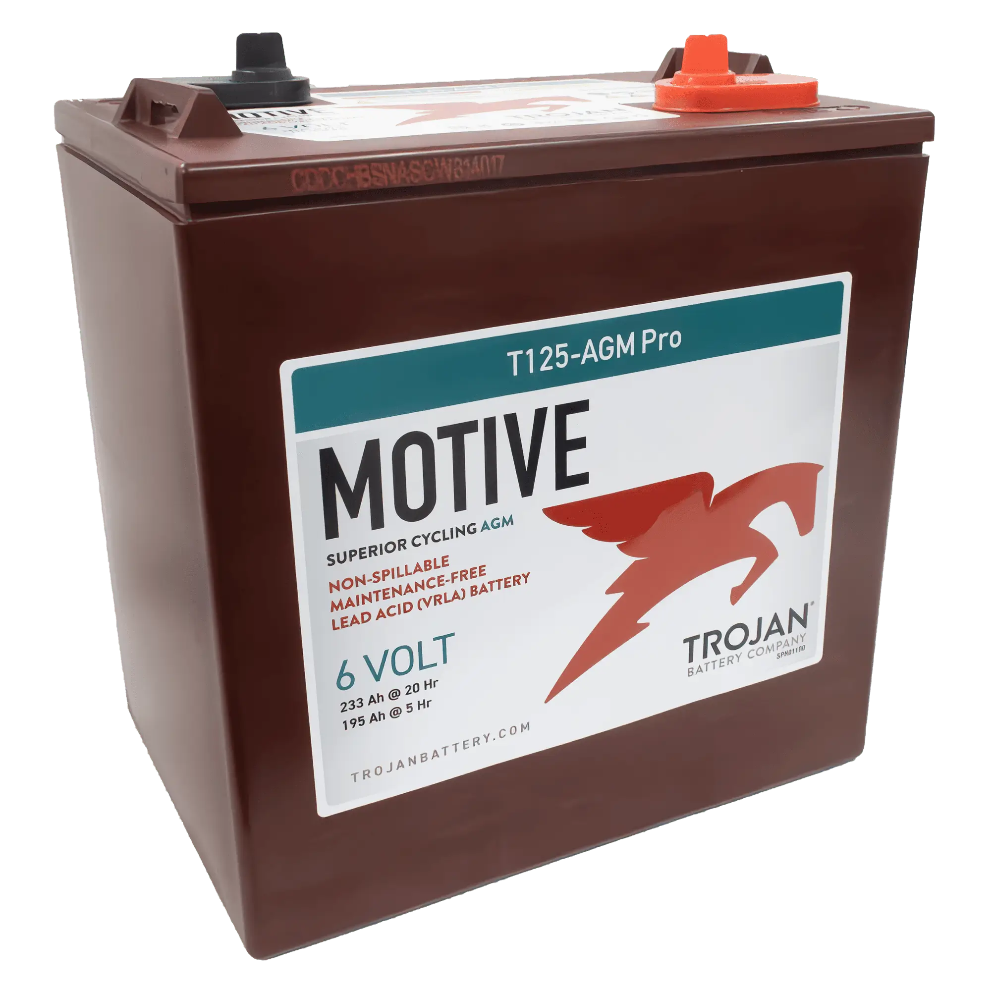 T125-AGM-PRO | Supercharge Batteries | High-Quality Battery