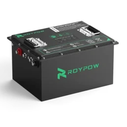ROYPOW S5165A