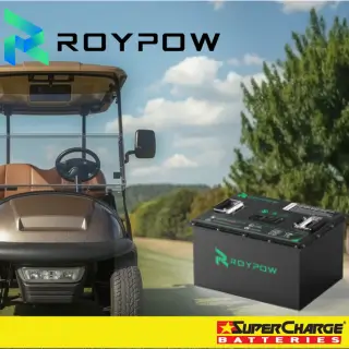 RoyPow Lithium Golft Cart Batteries
