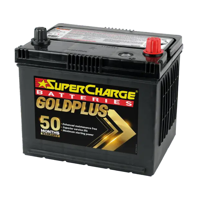GoldPlus MF53 Car Battery by Supercharge Batteries